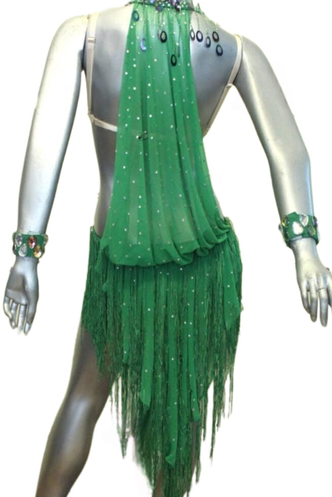 Load image into Gallery viewer, Latin Dance Competition Dress (LT0125)
