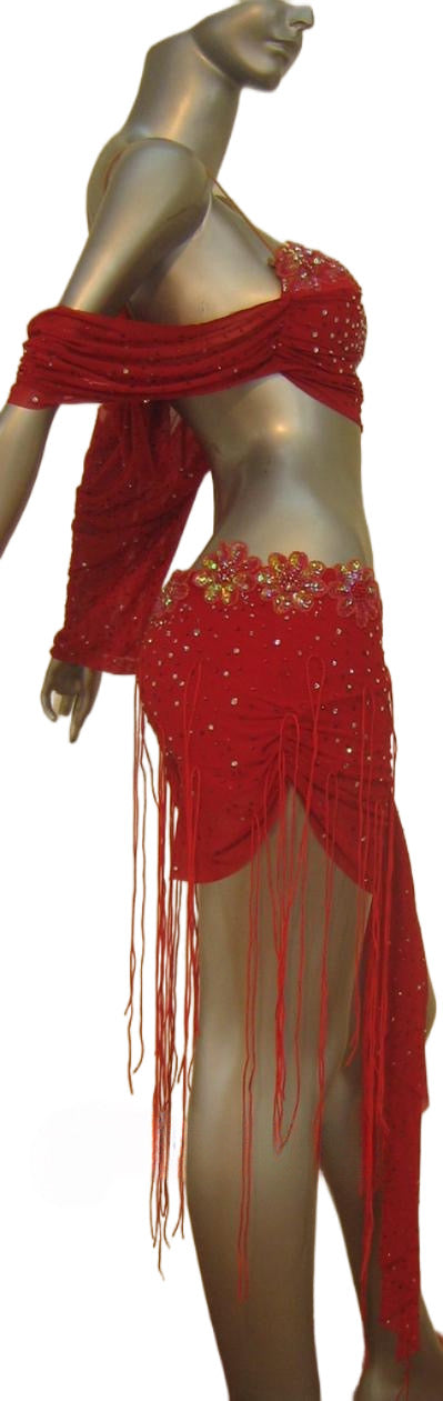 Latin Dance Competition Dress (LT064)