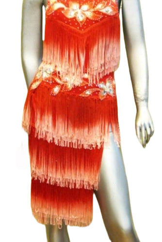 Latin Dance Competition Dress (LT0712)