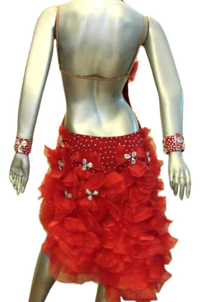 Load image into Gallery viewer, Latin Dance Competition Dress (LS0110)
