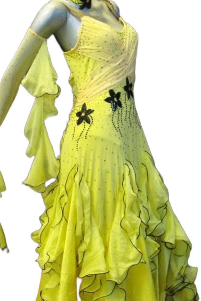 Load image into Gallery viewer, Standard Ballroom Competition Dress (B0174)
