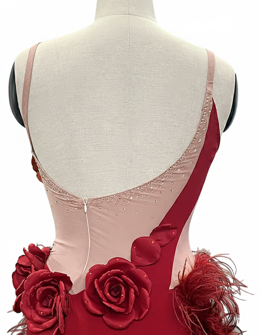ByCharme Firebrick Feather Ballroom Competition Dress - BC-0050