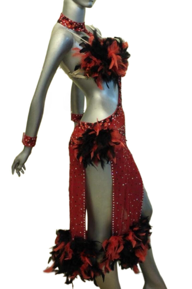 Load image into Gallery viewer, Latin Dance Competition Dress (LT092)
