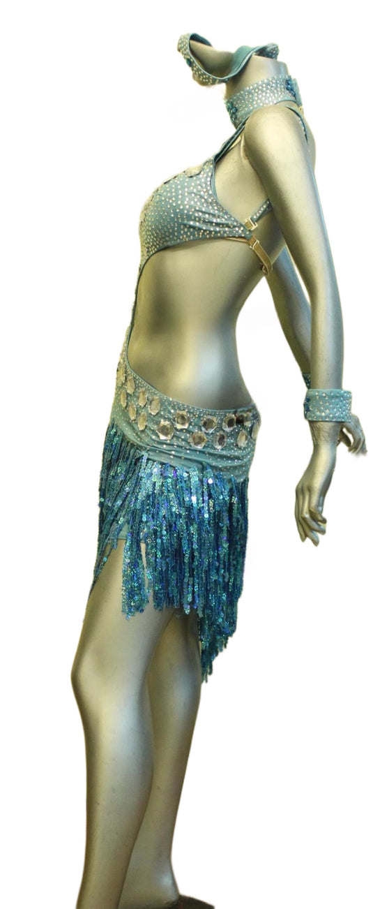 Latin Dance Competition Dress (VL0254)