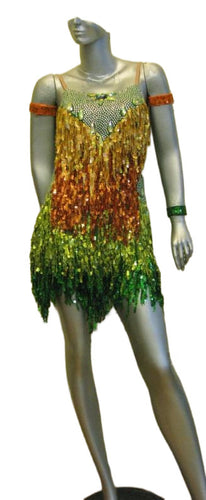 Latin Dance Competition Dress (LS0173)