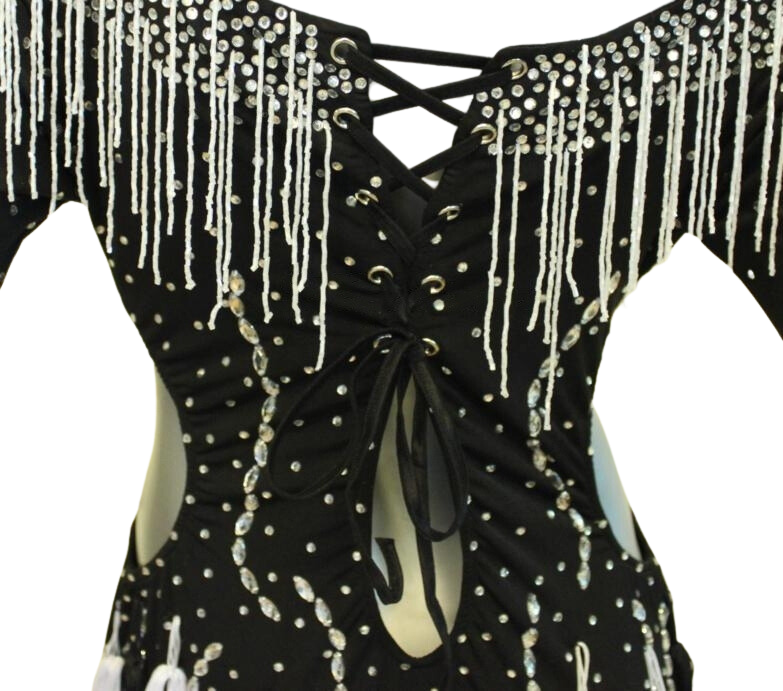 Load image into Gallery viewer, Latin Dance Competition Dress (LS0113)
