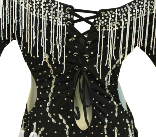 Latin Dance Competition Dress (LS0113)