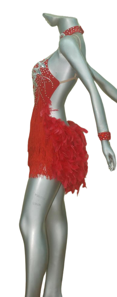 Load image into Gallery viewer, Latin Dance Competition Dress (LS016)
