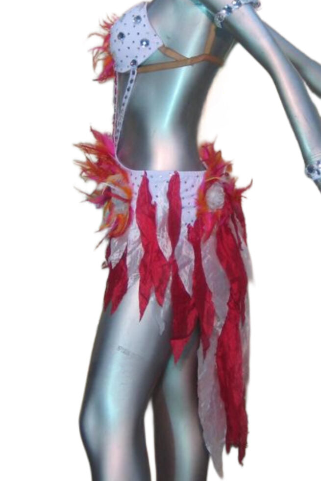 Load image into Gallery viewer, Latin Dance Competition Dress (LT031)
