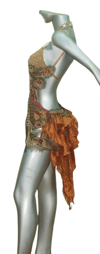 Load image into Gallery viewer, Latin Dance Competition Dress (LS011)
