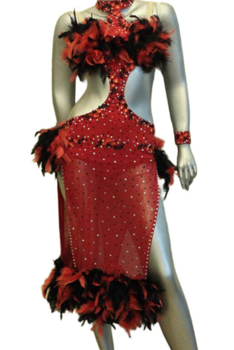 Latin Dance Competition Dress (LT092)