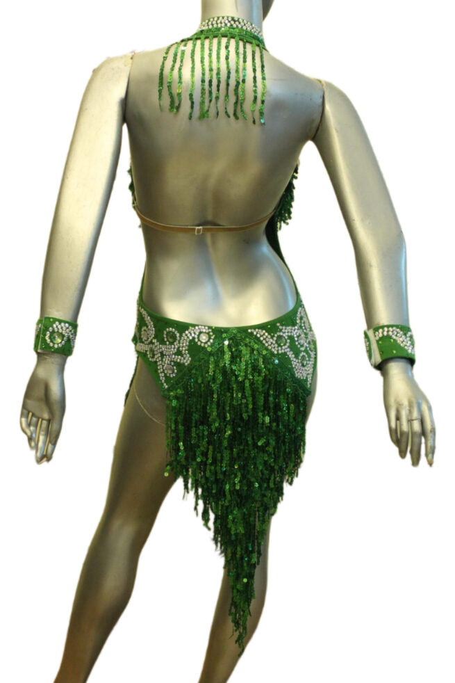 Load image into Gallery viewer, Latin Dance Competition Dress (LT0220)
