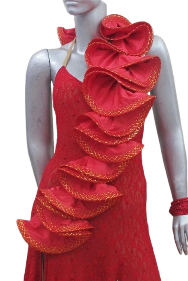 Load image into Gallery viewer, Standard Ballroom Competition Dress (B097)
