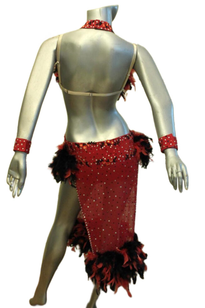 Load image into Gallery viewer, Latin Dance Competition Dress (LT092)
