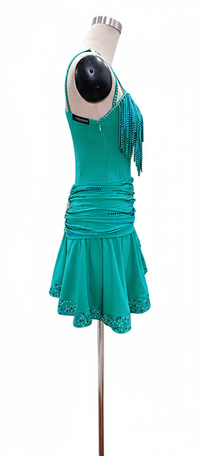 ByCharme Sea Green Brown Fringes Latin Salsa Competition Dress - BCL-0044