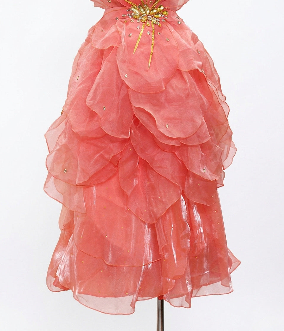 ByCharme Indian Red Rhinestone Ballroom Competition Dress - BC-0221