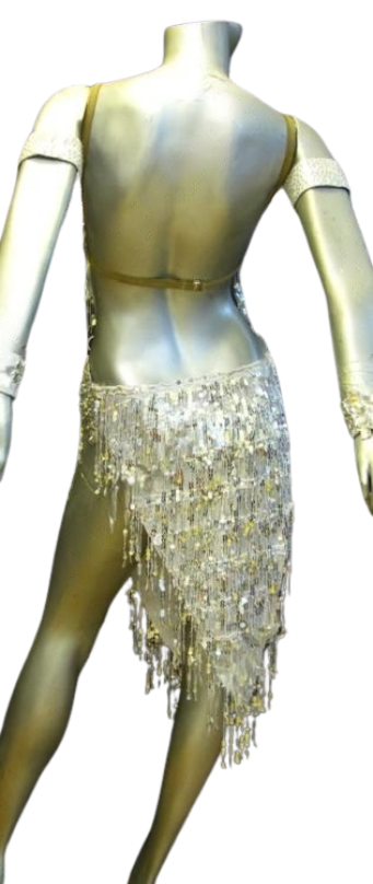 Latin Dance Competition Dress (LT0696)