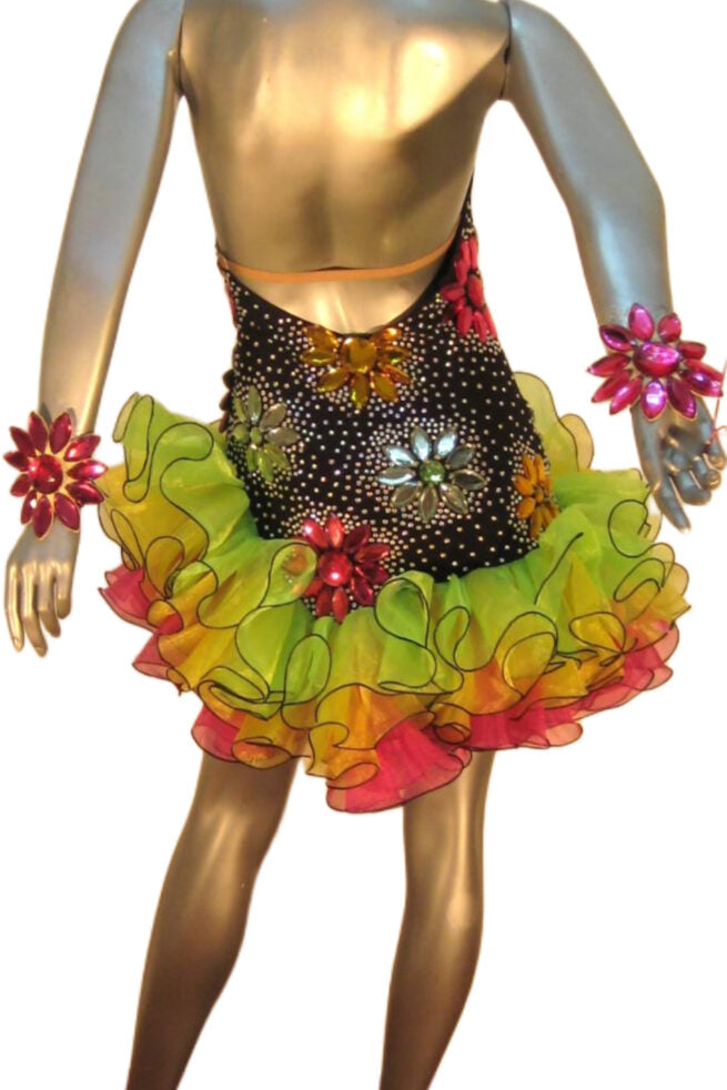 Load image into Gallery viewer, Latin Dance Competition Dress (LT0021)
