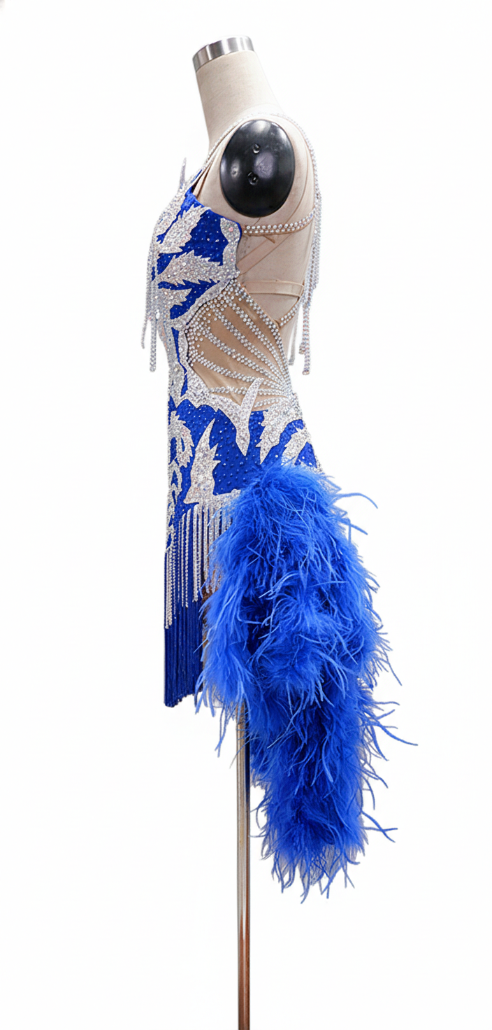 ByCharme Blue Silver Brown Fringes Latin Salsa Competition Dress - BCL-0062