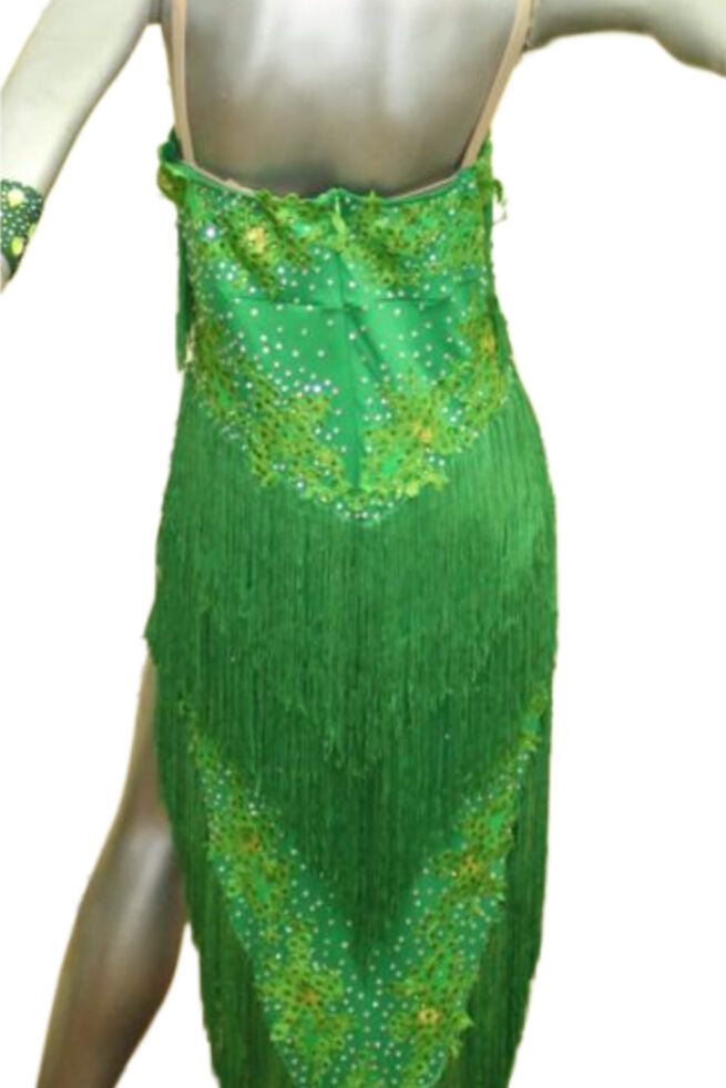 Load image into Gallery viewer, Latin Dance Competition Dress (LT0437)
