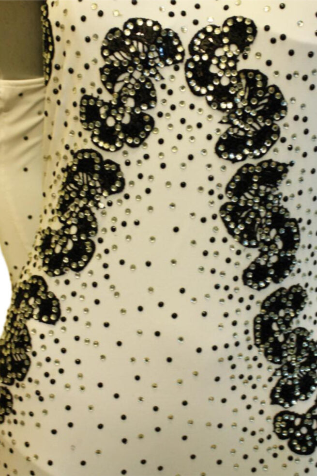 Load image into Gallery viewer, Standard Ballroom Competition Dress (B0107B)
