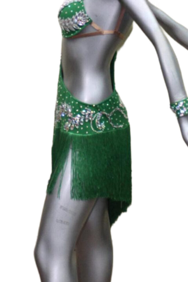 Load image into Gallery viewer, Latin Dance Competition Dress (LT017)
