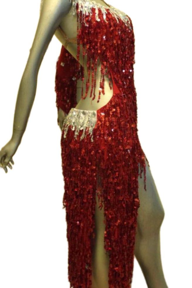 Load image into Gallery viewer, Latin Dance Competition Dress (LT0101N)
