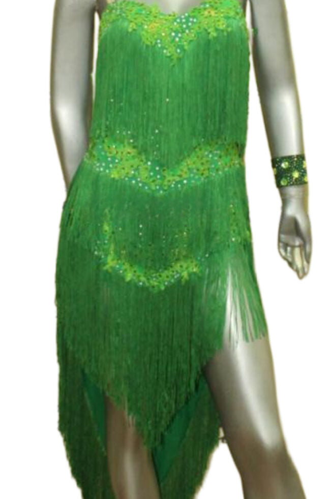 Load image into Gallery viewer, Latin Dance Competition Dress (LT0437)
