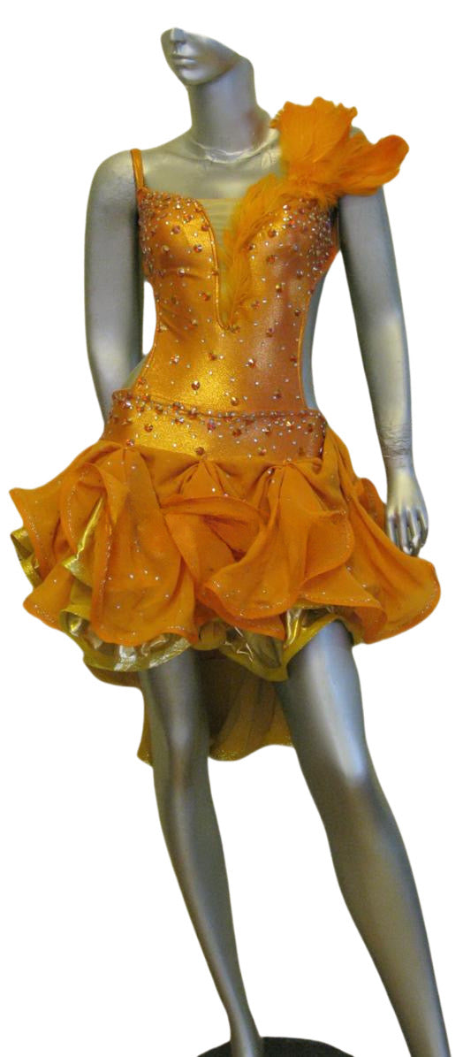 Latin Dance Competition Dress (LT0678)