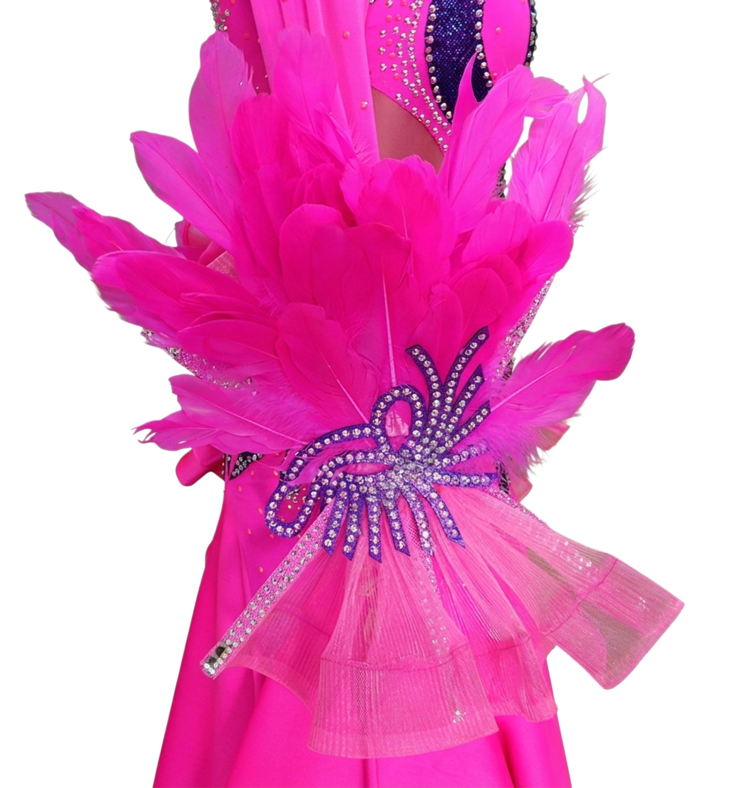 ByCharme Magenta Feather Ballroom Competition Dress - BC-0067