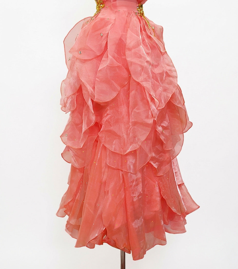 ByCharme Indian Red Rhinestone Ballroom Competition Dress - BC-0221