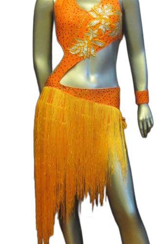 Latin Dance Competition Dress (LT0533)