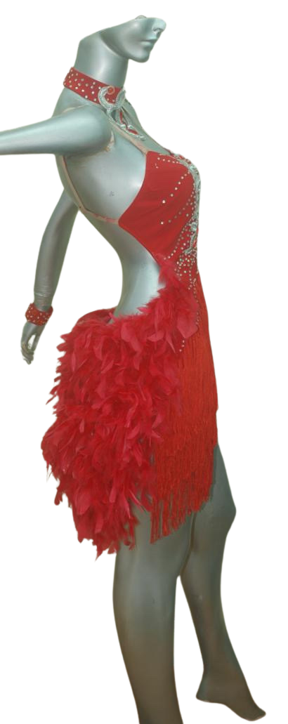 Load image into Gallery viewer, Latin Dance Competition Dress (LS016)
