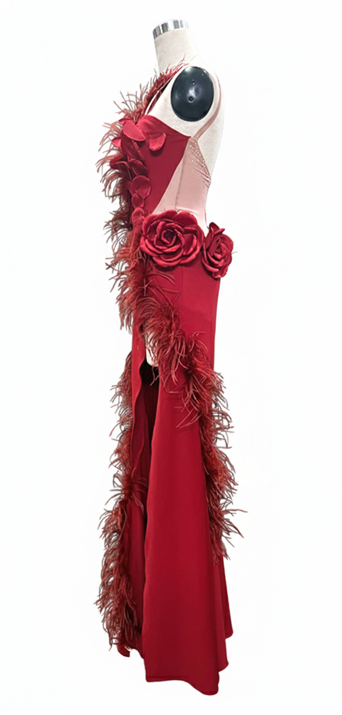ByCharme Firebrick Feather Ballroom Competition Dress - BC-0050