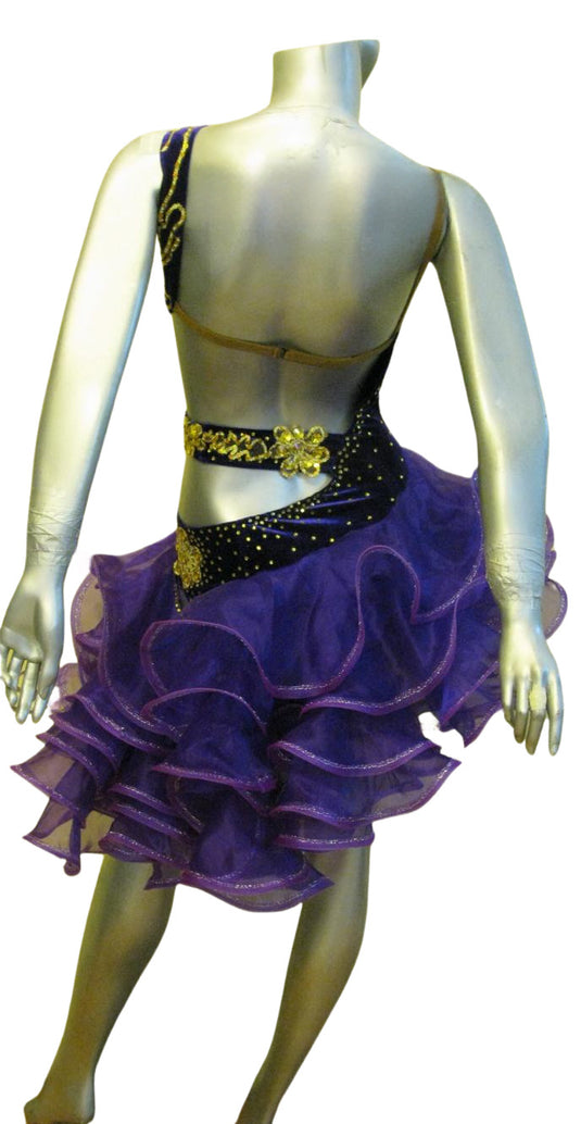 Latin Dance Competition Dress (LT0655)