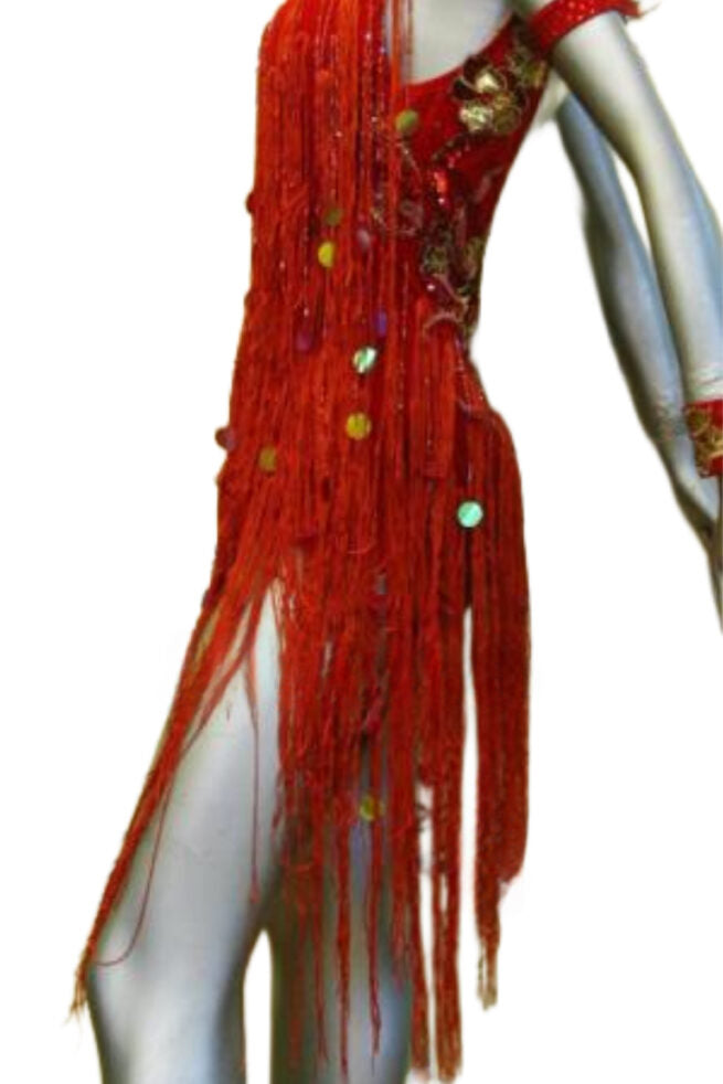 Load image into Gallery viewer, Latin Dance Competition Dress (LS0178)
