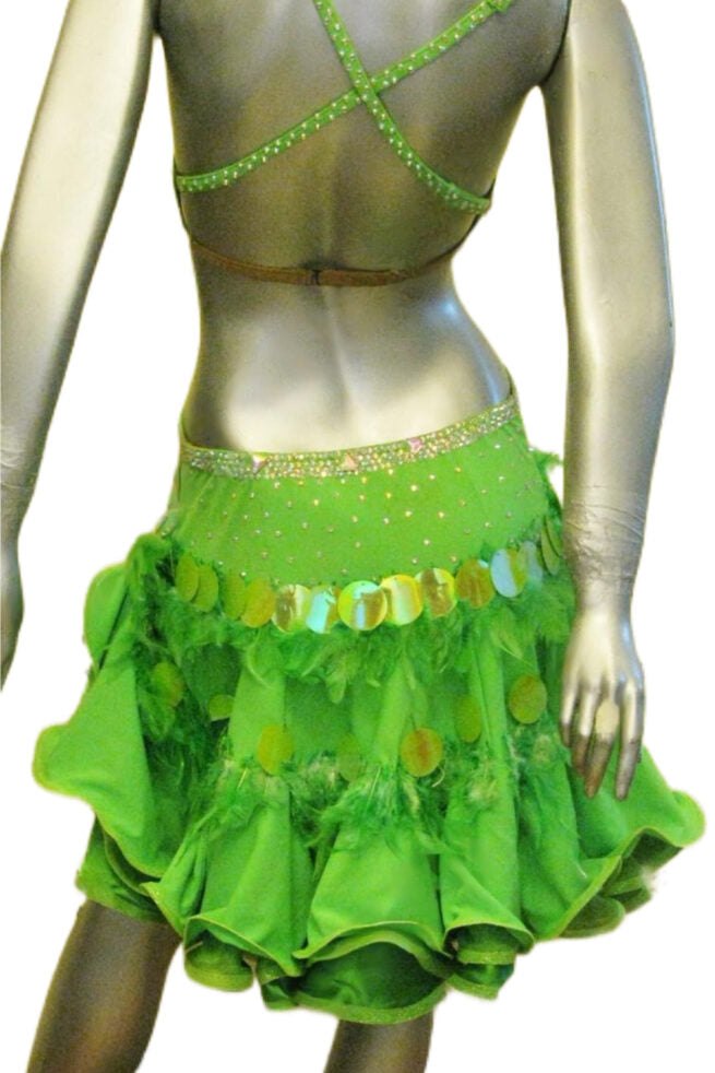 Load image into Gallery viewer, Latin Dance Competition Dress (LT0673)
