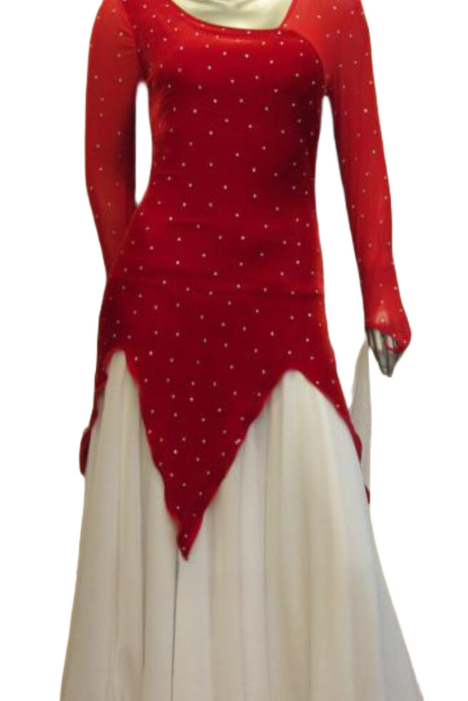 Load image into Gallery viewer, Standard Ballroom Competition Dress (B024)
