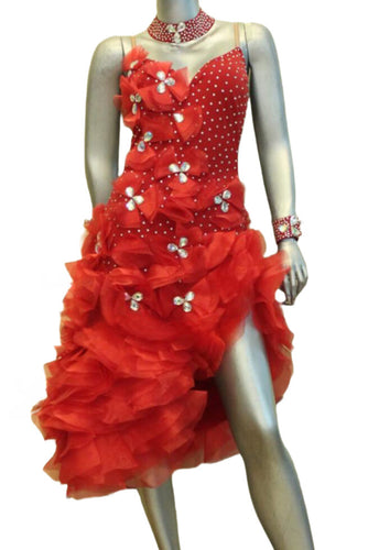 Latin Dance Competition Dress (LS0110)