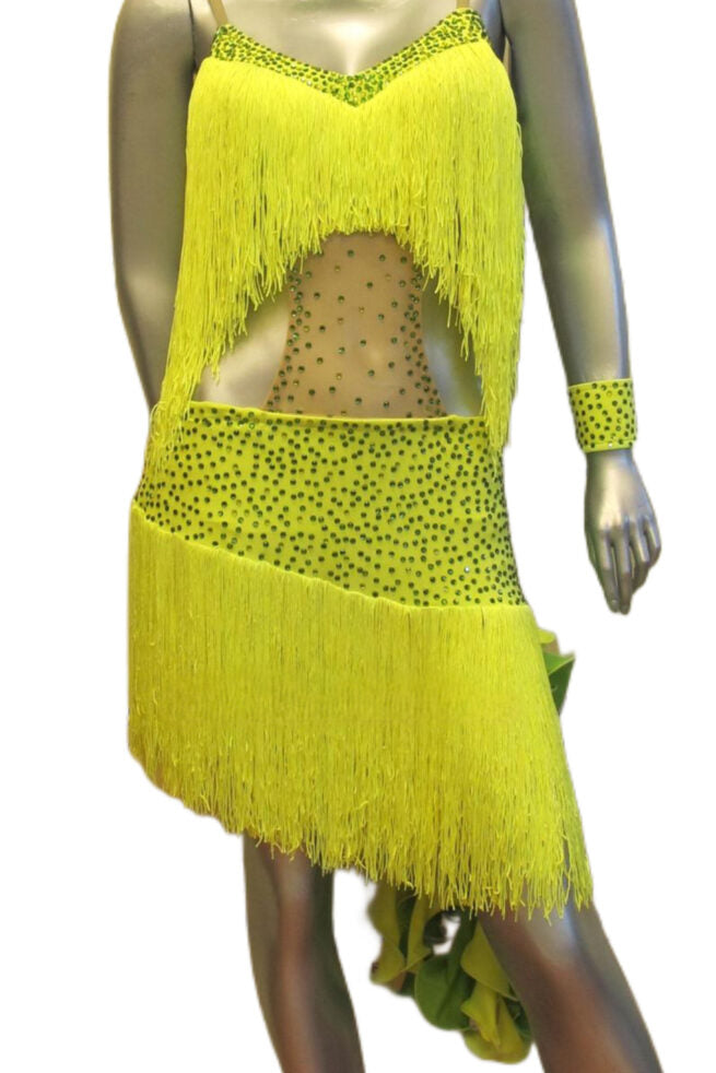 Load image into Gallery viewer, Latin Dance Competition Dress (LT0184)
