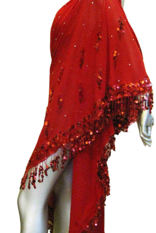 Latin Dance Competition Dress (LT0683)