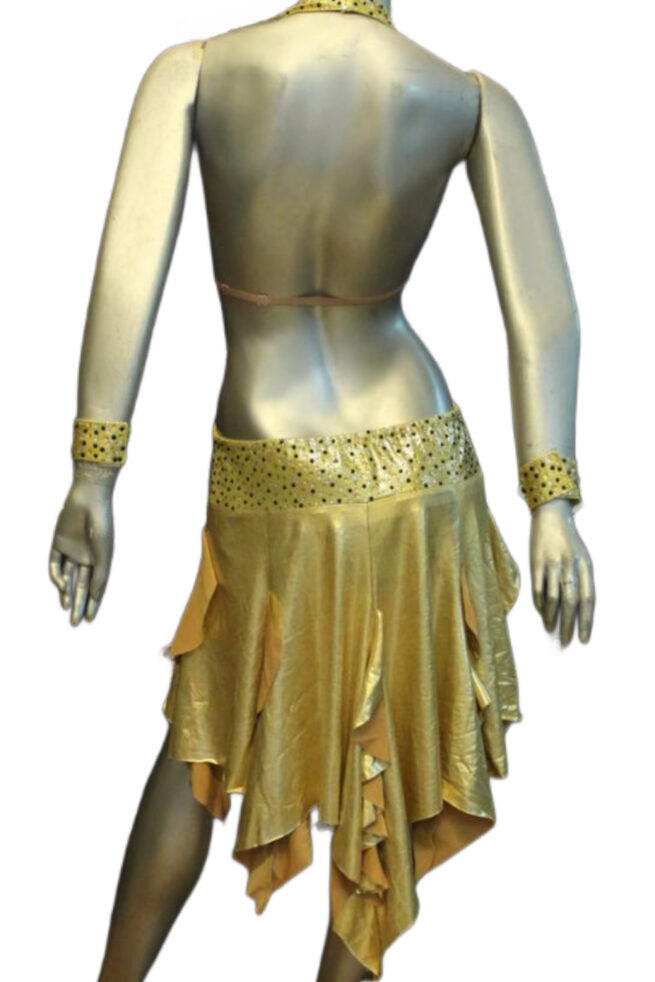 Load image into Gallery viewer, Latin Dance Competition Dress (LS0105)
