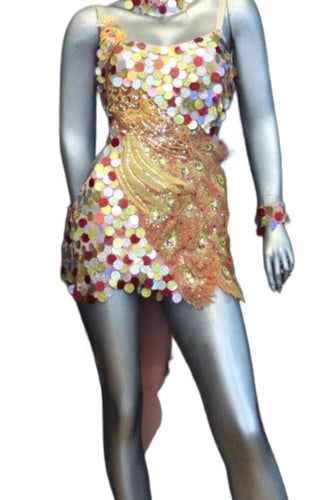 Latin Dance Competition Dress (LS0123)