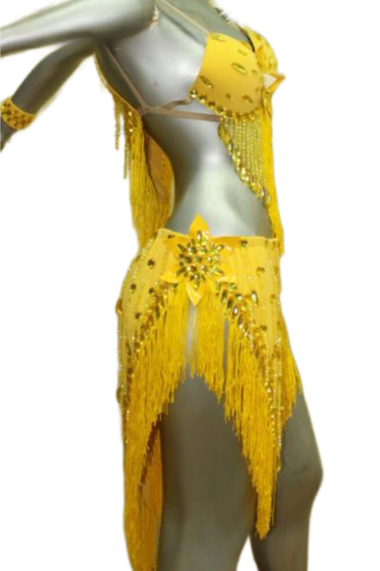 Latin Dance Competition Dress (LT07)