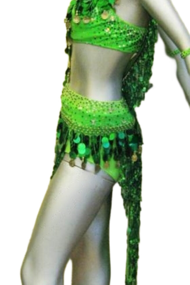 Load image into Gallery viewer, Latin Dance Competition Dress (LT0700)
