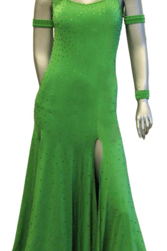 Standard Ballroom Competition Dress (B072)