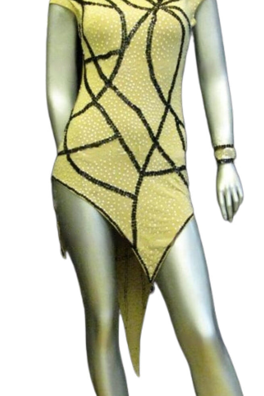 Latin Dance Competition Dress (LT0314)