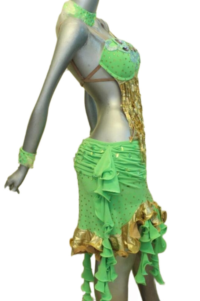 Load image into Gallery viewer, Latin Dance Competition Dress (LS0111)
