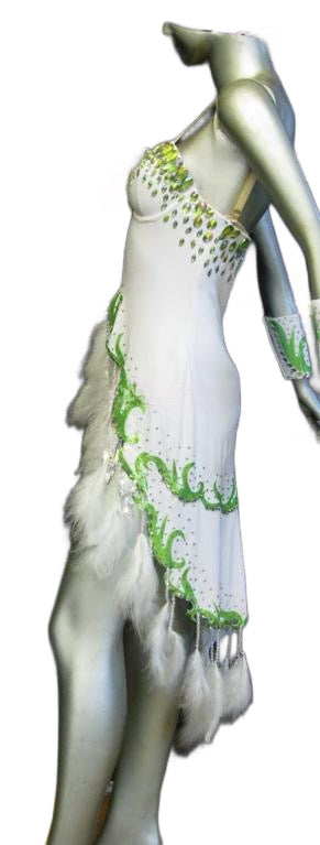 Load image into Gallery viewer, Latin Dance Competition Dress (LS0176)
