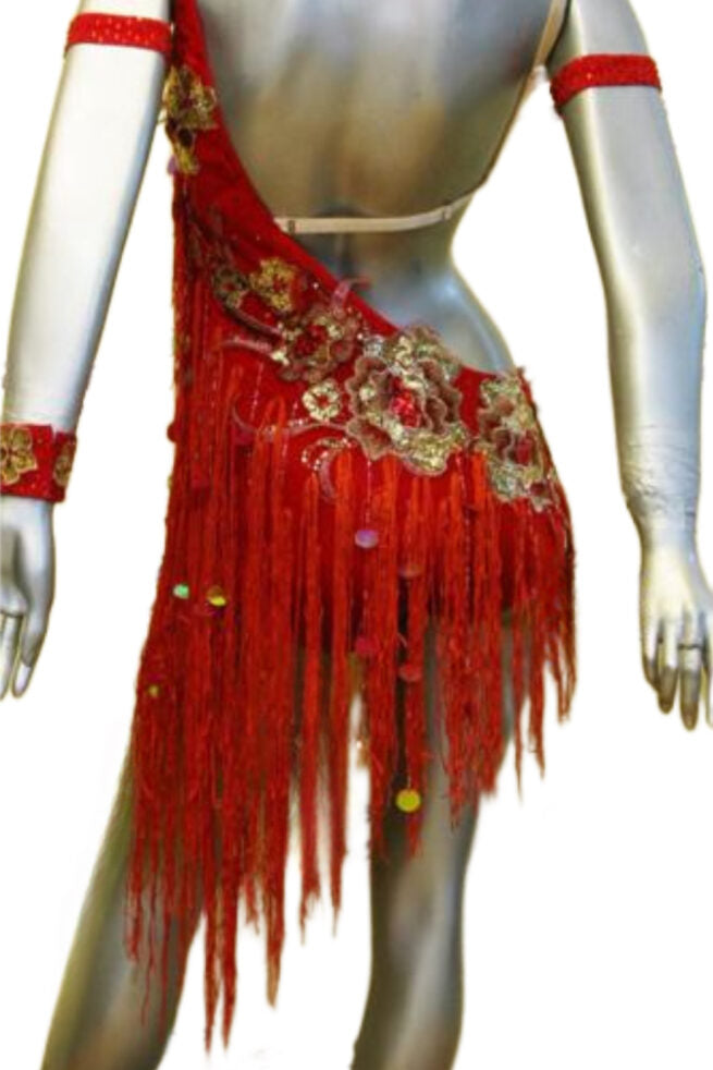 Load image into Gallery viewer, Latin Dance Competition Dress (LS0178)
